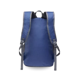 Ryder Backpack
